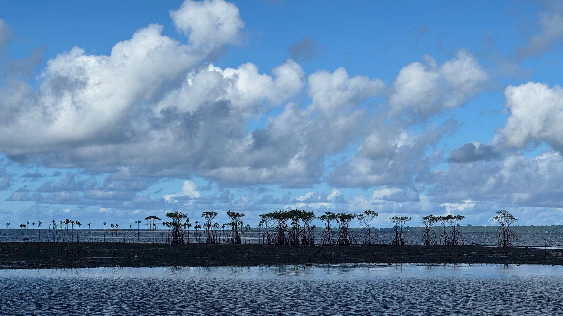 Brunei Darussalam-Indonesia-Malaysia-Philippines East ASEAN Growth Area (BIMP-EAGA)